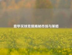 意甲买球竞猜揭秘市场与策略