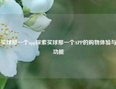 买球那一个app探索买球那一个APP的购物体验与功能