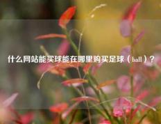 什么网站能买球能在哪里购买足球（ball）？