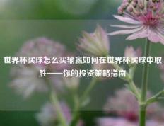 世界杯买球怎么买输赢如何在世界杯买球中取胜——你的投资策略指南