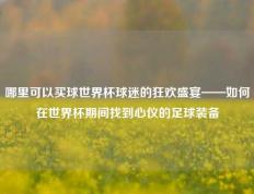 哪里可以买球世界杯球迷的狂欢盛宴——如何在世界杯期间找到心仪的足球装备