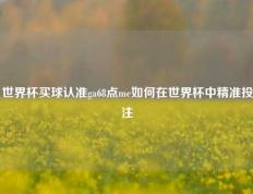 世界杯买球认准ga68点me如何在世界杯中精准投注