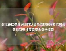 买球微信提现的如何安全高效地使用微信购买足球彩票并实现资金安全提现