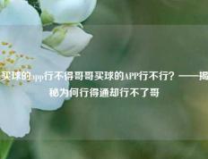 买球的app行不得哥哥买球的APP行不行？——揭秘为何行得通却行不了哥