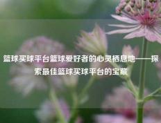 篮球买球平台篮球爱好者的心灵栖息地——探索最佳篮球买球平台的宝藏