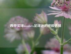 西甲买球manbetx足球迷的终极选择