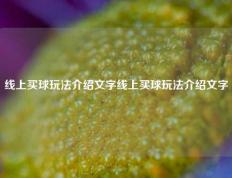 线上买球玩法介绍文字线上买球玩法介绍文字