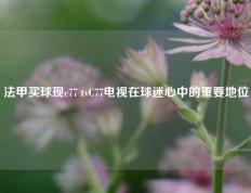 法甲买球现c77 tvC77电视在球迷心中的重要地位