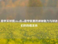 意甲买球攒ybke点cn意甲联赛的神秘魅力与球迷们的热情支持