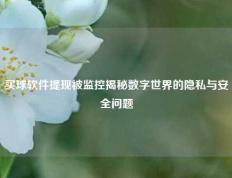 买球软件提现被监控揭秘数字世界的隐私与安全问题