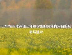 二年级买球评课二年级学生购买体育用品的反思与建议