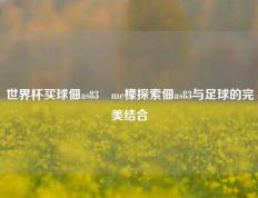 世界杯买球佃as83椣me檬探索佃as83与足球的完美结合