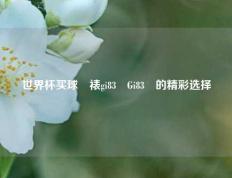 世界杯买球帍裱gi83婰Gi83婰的精彩选择