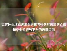 世界杯买球去哪里买的世界杯买球哪里买？揭秘专业渠道与平台的选择指南
