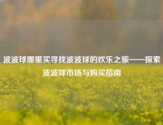波波球哪里买寻找波波球的欢乐之旅——探索波波球市场与购买指南