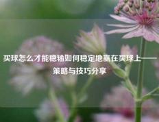买球怎么才能稳输如何稳定地赢在买球上——策略与技巧分享