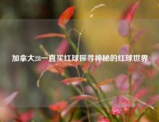 加拿大28一直买红球探寻神秘的红球世界