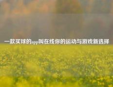 一款买球的app叫在线你的运动与游戏新选择