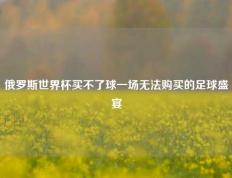 俄罗斯世界杯买不了球一场无法购买的足球盛宴