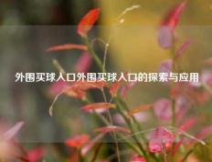 外围买球入口外围买球入口的探索与应用