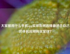大家都用什么手机app买球如何选择最适合自己的手机应用购买足球？