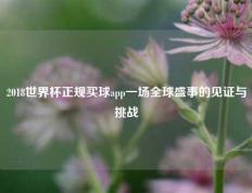 2018世界杯正规买球app一场全球盛事的见证与挑战