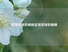 足球买球的规则足球买球的规则