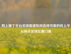 网上哪个平台买球靠谱如何选择可靠的线上平台购买足球比赛门票