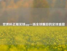 世界杯正规买球app一场全球瞩目的足球盛宴