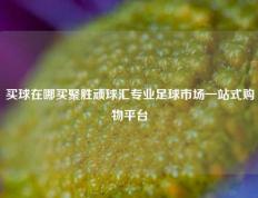 买球在哪买聚胜顽球汇专业足球市场一站式购物平台