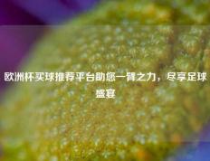 欧洲杯买球推荐平台助您一臂之力，尽享足球盛宴