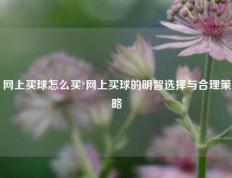 网上买球怎么买?网上买球的明智选择与合理策略