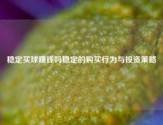 稳定买球赚钱吗稳定的购买行为与投资策略