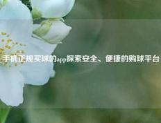 手机正规买球的app探索安全、便捷的购球平台