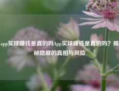 app买球赚钱是真的吗App买球赚钱是真的吗？揭秘隐藏的真相与风险