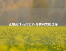 正规买球app排行17x寻找可靠的选择