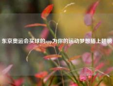 东京奥运会买球的app为你的运动梦想插上翅膀