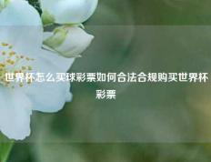 世界杯怎么买球彩票如何合法合规购买世界杯彩票
