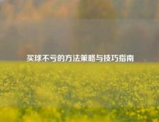 买球不亏的方法策略与技巧指南