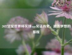 2022女足世界杯买球app见证历史，追逐梦想的旅程