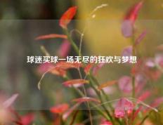 球迷买球一场无尽的狂欢与梦想