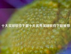 十大买球软件下载十大优秀买球软件下载推荐