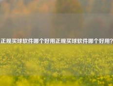 正规买球软件哪个好用正规买球软件哪个好用？