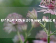 那个平台可以买球构建专属你的电子竞技世界