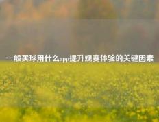 一般买球用什么app提升观赛体验的关键因素