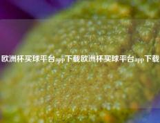 欧洲杯买球平台app下载欧洲杯买球平台app下载