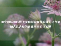 哪个网站可以线上买球探索在线购球的平台揭秘合法合规的足球用品购物渠道