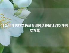 什么软件买球竞猜最好如何选择最佳的软件购买方案