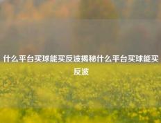 什么平台买球能买反波揭秘什么平台买球能买反波