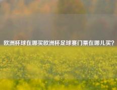 欧洲杯球在哪买欧洲杯足球赛门票在哪儿买？